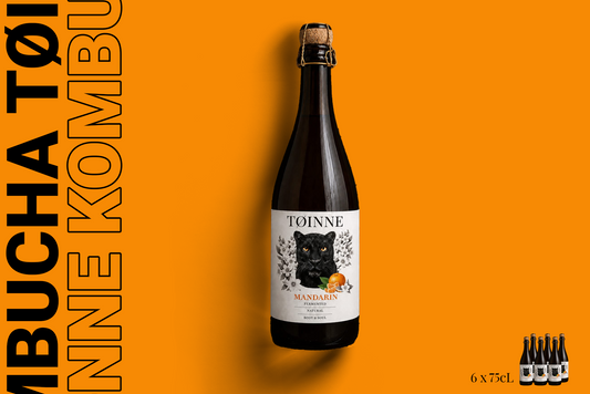 Bottle Tøinne kombucha 75 cL, Sold in boxes of 6